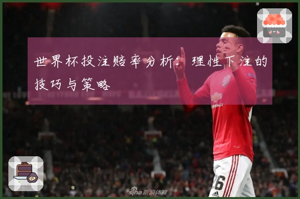 世界杯投注赔率分析：理性下注的技巧与策略