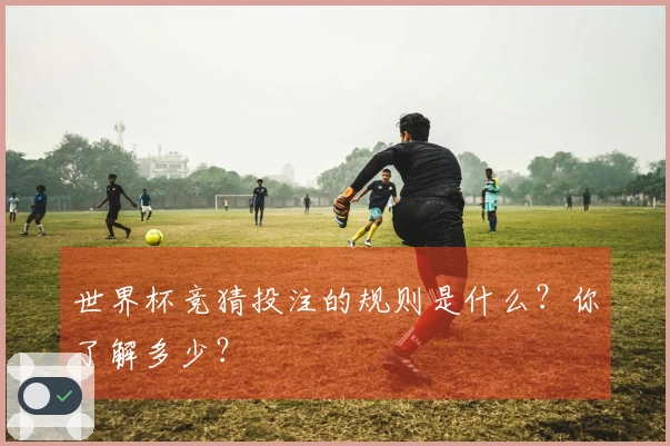 世界杯竞猜投注的规则是什么？你了解多少？