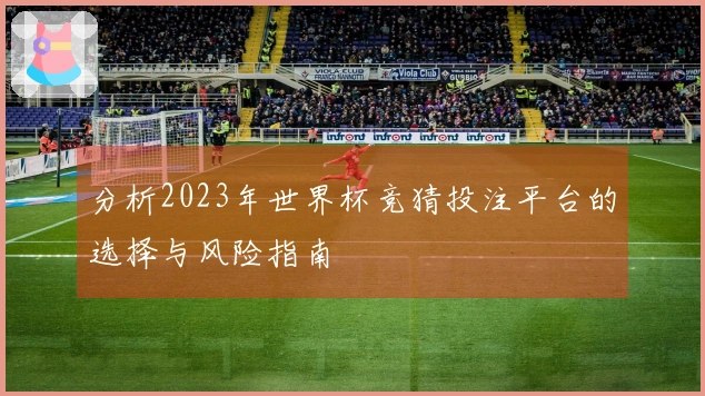分析2023年世界杯竞猜投注平台的选择与风险指南