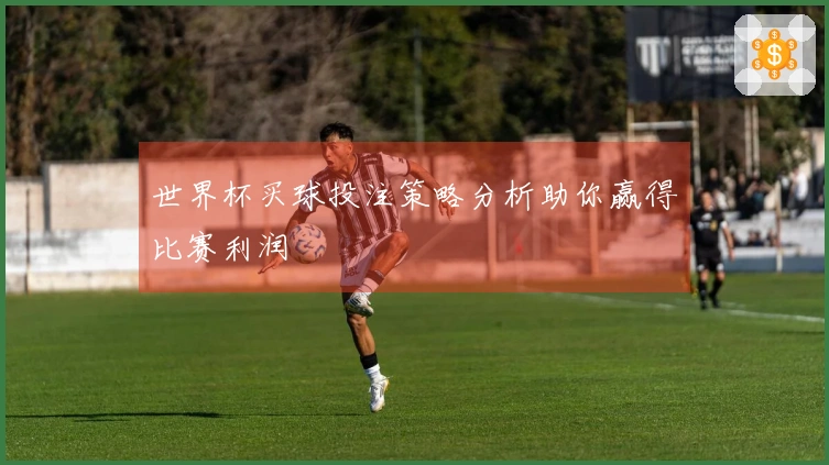 世界杯买球投注策略分析助你赢得比赛利润