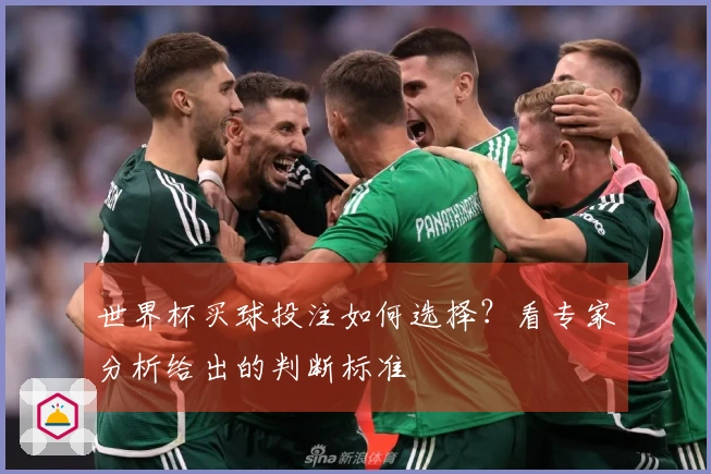 世界杯买球投注如何选择？看专家分析给出的判断标准