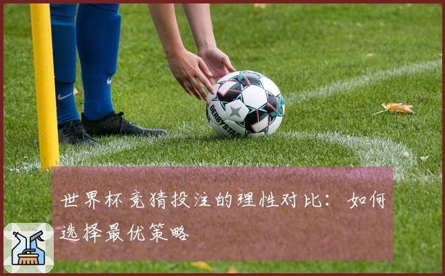 世界杯竞猜投注的理性对比：如何选择最优策略